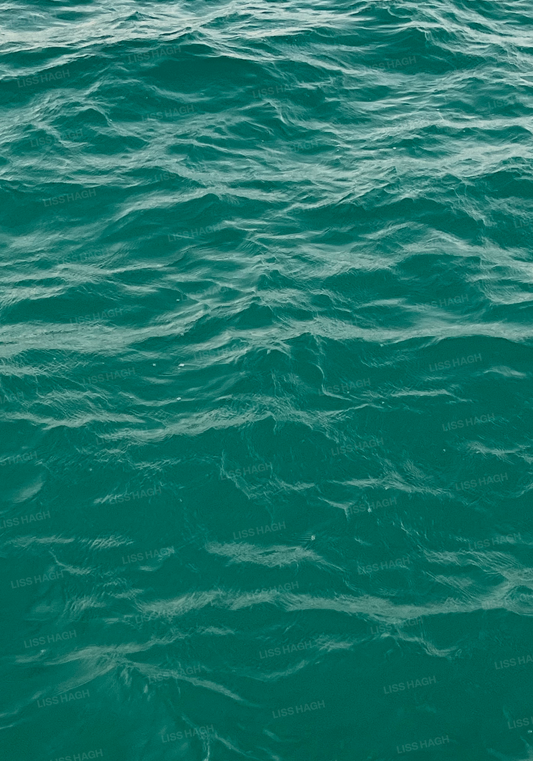 The ocean