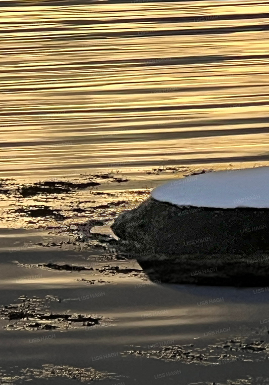 The Shore